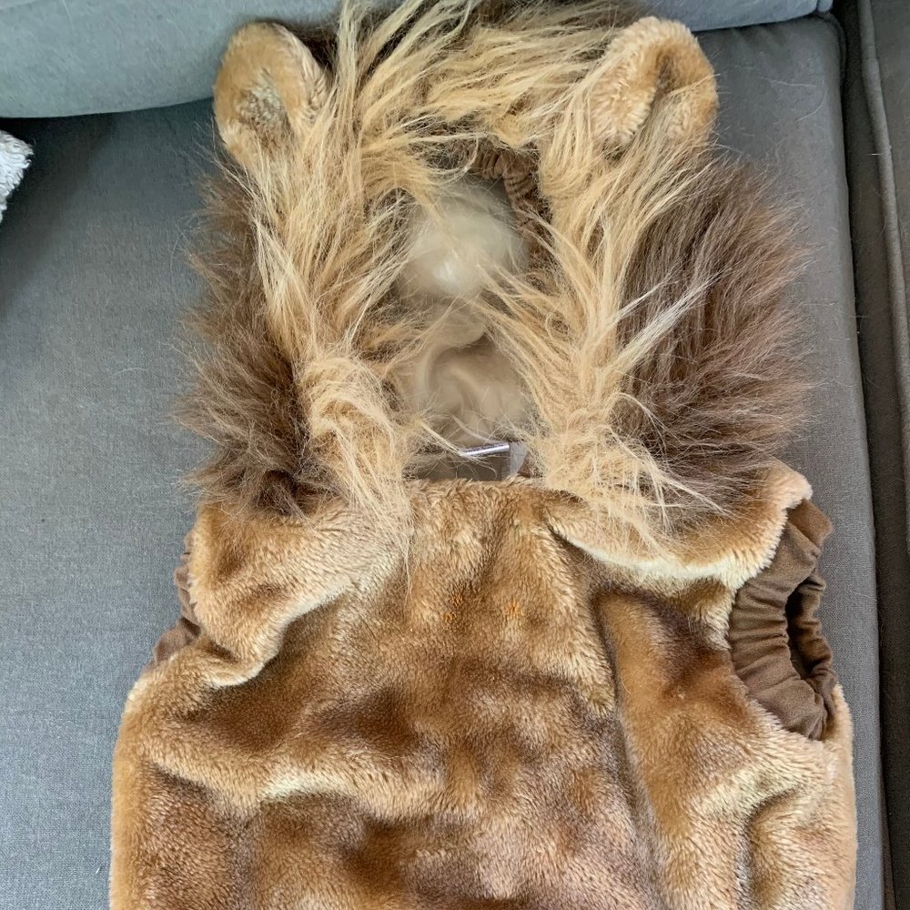 Toddler Lion Halloween Costume 2T